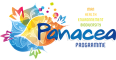 panacea